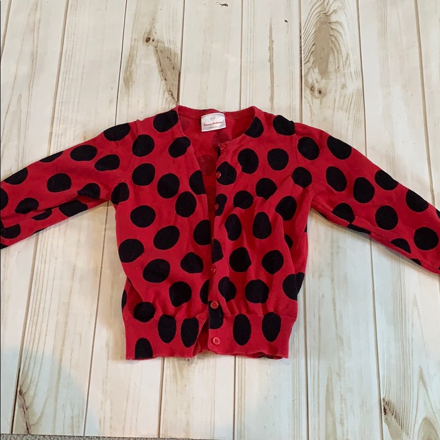 Lady Bug Pattern Sweater